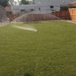Sprinkler blowout in backyard