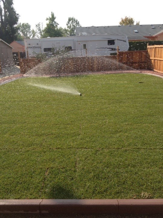 Sprinkler blowout in backyard