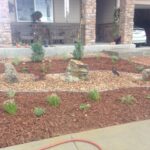 front yard landscape design with plants and woodchips