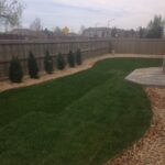 backyard with landscape edging