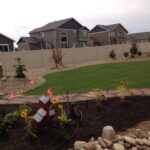 landscape design with grass and rocks