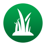 icon4-5c66f79df3e31