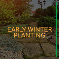 EarlyWinter-Image-5d53005d467eb