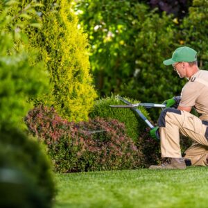Care For Your Plants