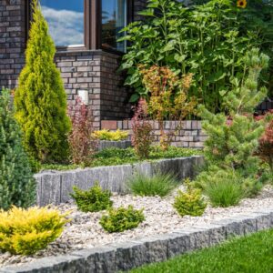 right spot for plants