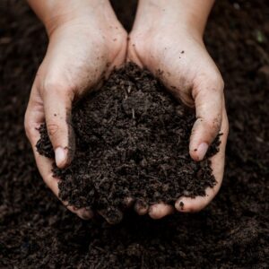 holding soil