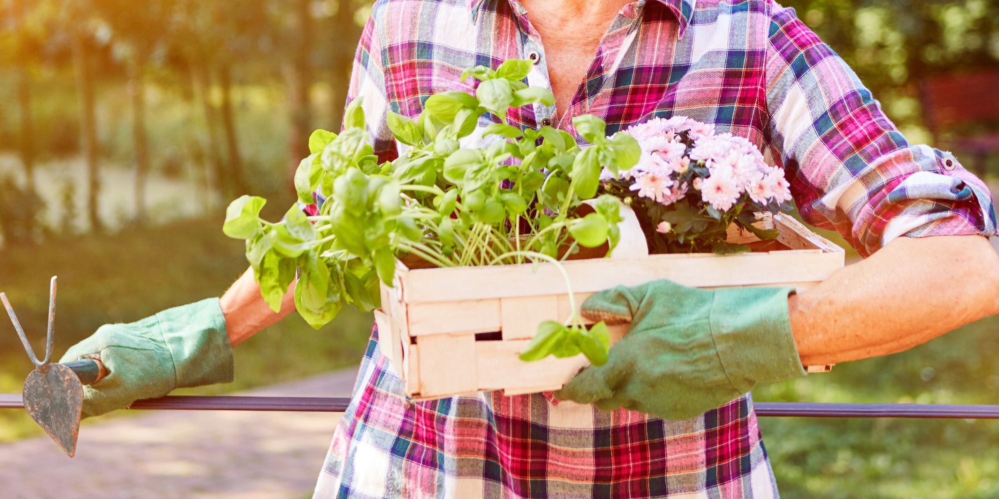 Move Plants Outdoors