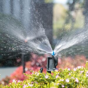 Sprinkler System