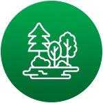 Icon 3_